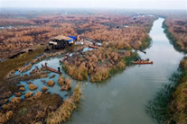Restoration of the Marshes