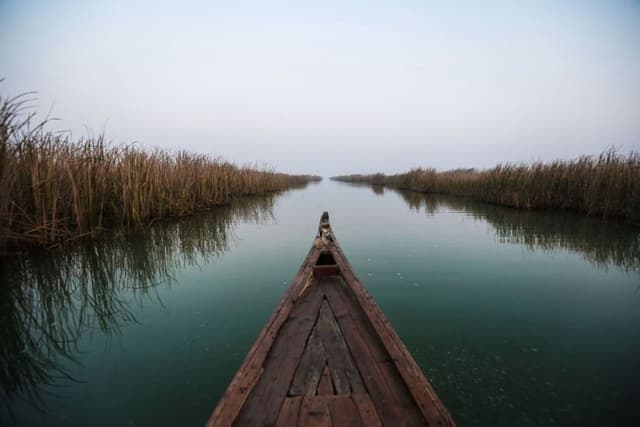 Cinematic view of marshland waters