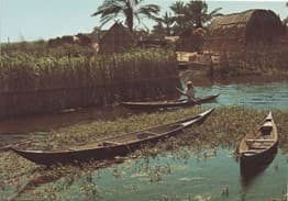 History of the Marshes: A 5,000-Year Legacy