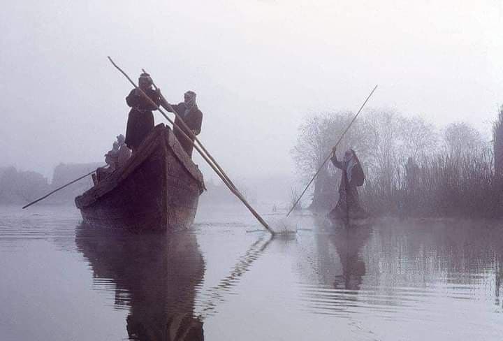 Fishermen poling through misty marsh waters, 1978